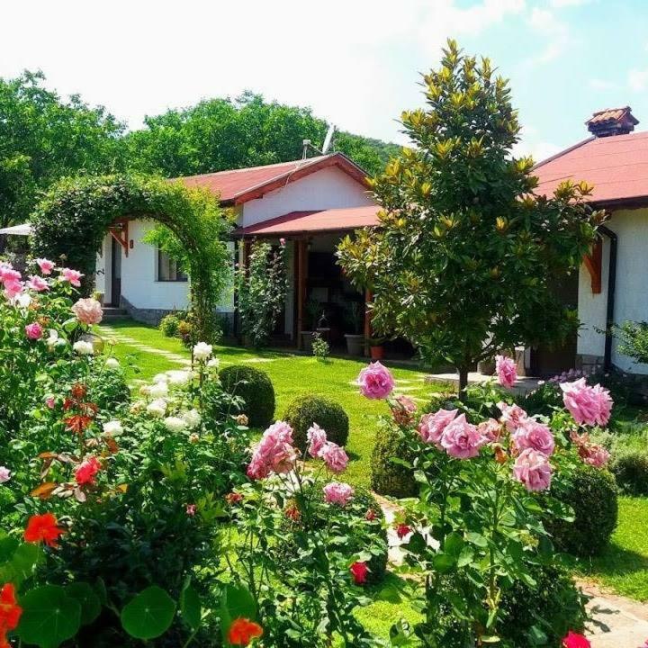 Guest House Raiski Kаt Mezek Bagian luar foto